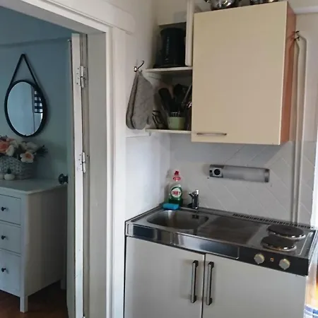 Pajarinhovi Hirsimokki 43 M2 * Puhos