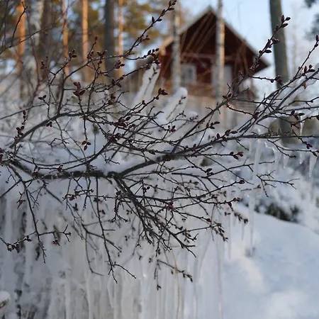 Holiday home Pajarinhovi Hirsimokki 43 M2 Puhos (Kitee)