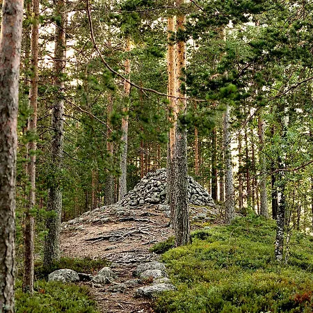 Pajarinhovi Hirsimokki 43 M2 Puhos