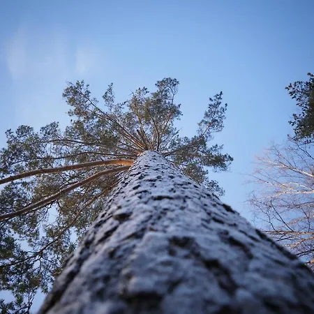 Pajarinhovi Hirsimokki 43 M2 Loma-asunnot